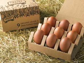 生态自然创意的有机鸡蛋包装设计